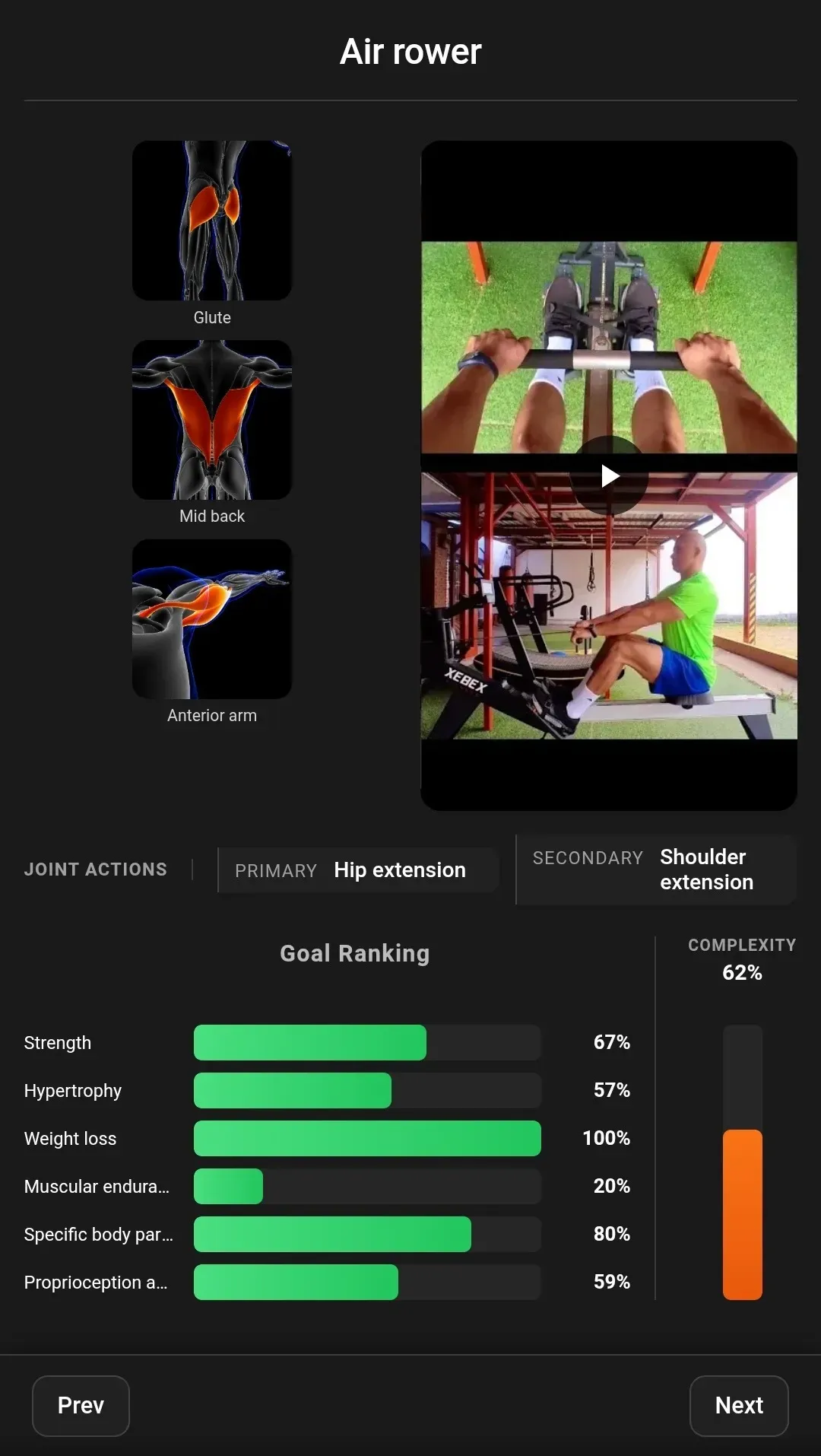 Exercise Insights with Muscle Imagery and Joint Actions